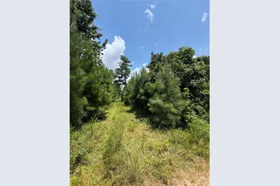 Fm 943 Rd, Livingston, TX 77351 - Photo 6