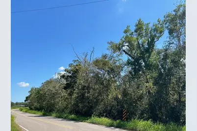 Lot 1 County Road 819, Brazoria, TX 77422 - Photo 6