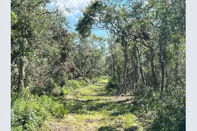 Lot 1 County Road 819, Brazoria, TX 77422 - Photo 4