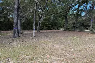 645 Deer Park Dr, Brookeland, TX 75931 - Photo 6