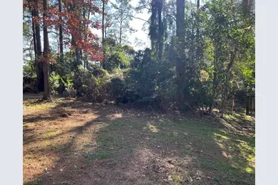 149 Springs Edge Drive, Conroe, TX 77356 - Photo 6