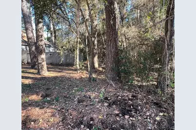 149 Springs Edge Drive, Conroe, TX 77356 - Photo 8