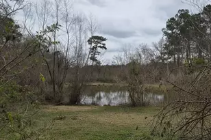 14185 Tower Glen Ln, Conroe, TX 77306 - Photo 18