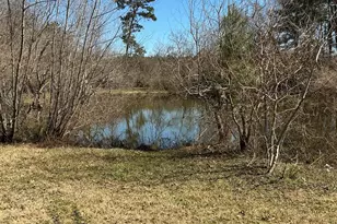 14185 Tower Glen Ln, Conroe, TX 77306 - Photo 1