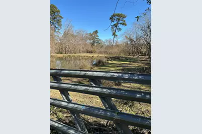 14185 Tower Glen Lane, Conroe, TX 77306 - Photo 6