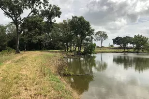 25923 Nelson Rd, Hempstead, TX 77445 - Photo 6
