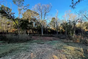 11351 Annie Creek Dr, Willis, TX 77378 - Photo 1