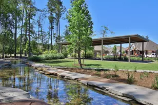 315 Texoma Plains Dr, Conroe, TX 77304 - Photo 32