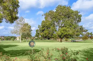 4315 Driftrose Dr, Fulshear, TX 77441 - Photo 22