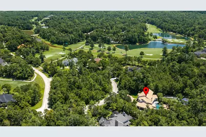19 W Palmer Point, The Woodlands, TX 77381 - Photo 46