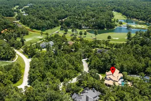 19 W Palmer Point, The Woodlands, TX 77381 - Photo 46