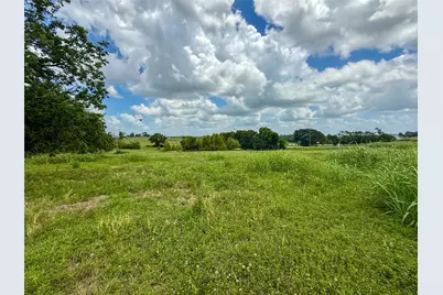 Tbd Highway 90 Highway, Anderson, TX 77830 - Photo 4