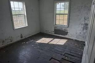 20202 Hwy 36, Guy, TX 77444 - Photo 4