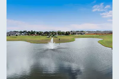 19014 Blossoming Buttercup Drive, Tomball, TX 77377 - Photo 34