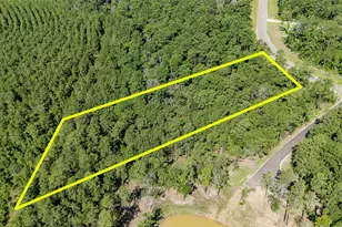 194 Exploration Rd, Willis, TX 77378 - Photo 12