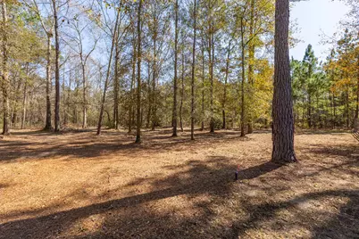 27688 Rio Blanco Drive, Splendora, TX 77372 - Photo 46