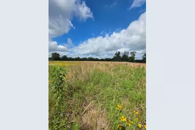 Tbd Lot 13 County Road 201, Plantersville, TX 77363 - Photo 1