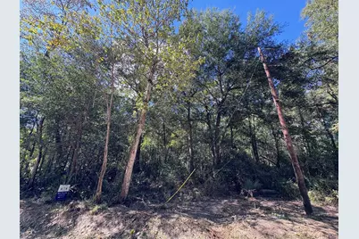 Lot 242 Mehringer Road, Shepherd, TX 77371 - Photo 1