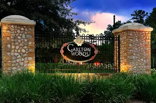 10 Kingscote Way, The Woodlands, TX 77382 - Photo 40