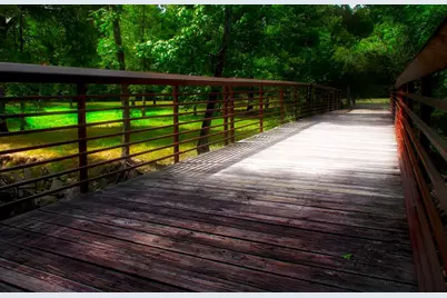 23 Shellbark, The Woodlands, TX 77382 - Photo 30