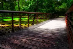 23 Shellbark, The Woodlands, TX 77382 - Photo 30