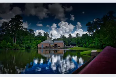 23 Shellbark, The Woodlands, TX 77382 - Photo 28