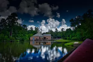 23 Shellbark, The Woodlands, TX 77382 - Photo 28