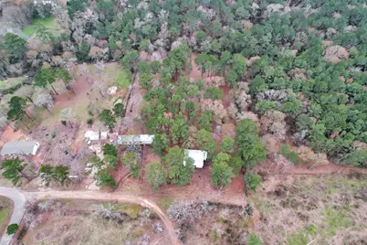 Split B Tall Pine Road, Navasota, TX 77868 - Photo 6