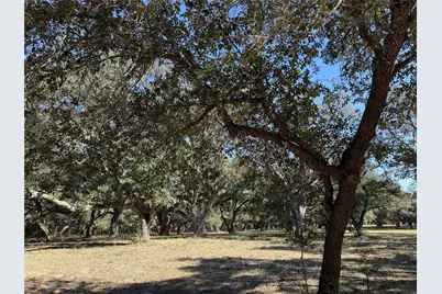 Tbd Rubin Lee Road, Cat Spring, TX 78933 - Photo 14