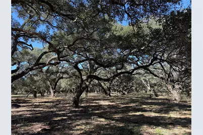 Tbd Rubin Lee Road, Cat Spring, TX 78933 - Photo 22