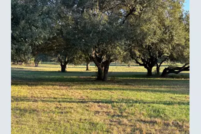 Tbd Rubin Lee Road, Cat Spring, TX 78933 - Photo 4