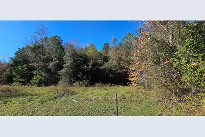 Tbd Family Lane S, New Waverly, TX 77358 - Photo 2