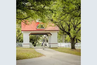 Lot 38 Lakeland Ranch Drive, Hillister, TX 77624 - Photo 8