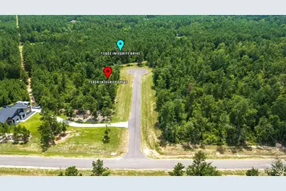 15802 Integrity Drive, Willis, TX 77378 - Photo 6