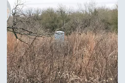 8590 Hammond Road, Calvert, TX 77837 - Photo 16