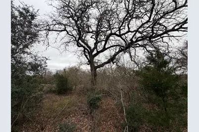 8590 Hammond Road, Calvert, TX 77837 - Photo 20