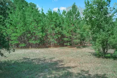 16039 Yaupon Berry, Plantersville, TX 77363 - Photo 4