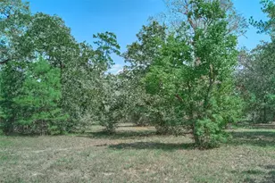 16039 Yaupon Berry, Plantersville, TX 77363 - Photo 1