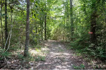 1681 County Road 3050, Woodville, TX 75979 - Photo 46