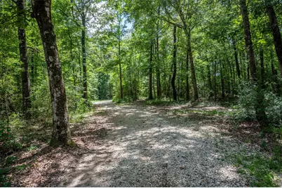 1681 County Road 3050, Woodville, TX 75979 - Photo 48