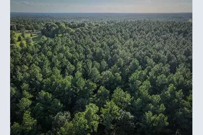 Tbd Old Hwy 287, Groveton, TX 75845 - Photo 10