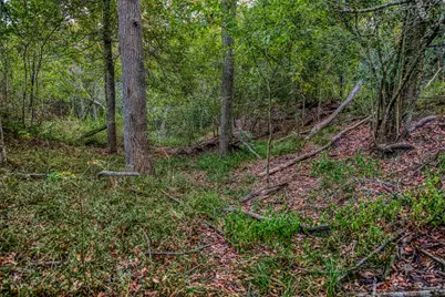 Tbd Flat Prairie Road, Washington, TX 77880 - Photo 16