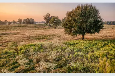Tbd Flat Prairie Road, Washington, TX 77880 - Photo 10