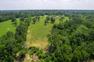 4161 Fm 2666 Rd, Shepherd, TX 77371 - Photo 46