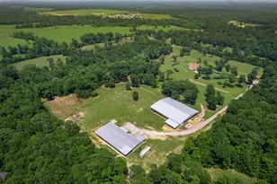 4161 Fm 2666 Rd, Shepherd, TX 77371 - Photo 42