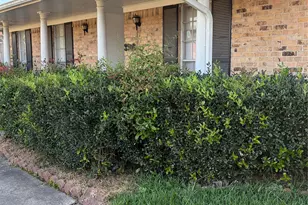 3908 Balcones Dr, Houston, TX 77034 - Photo 2