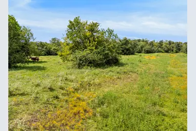 00 Tower Road, Santa Fe, TX 77517 - Photo 6