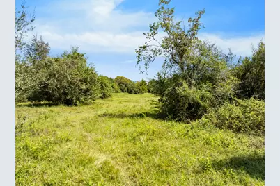 00 Tower Road, Santa Fe, TX 77517 - Photo 20
