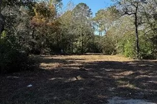 9367 Fm 149 Rd, Montgomery, TX 77316 - Photo 2