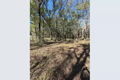 9367 Fm 149 Road, Montgomery, TX 77316 - Photo 4